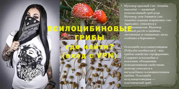 прущая мука Нефтекумск