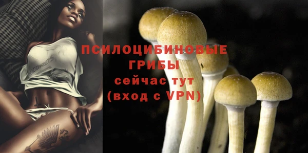 гашик Нефтегорск