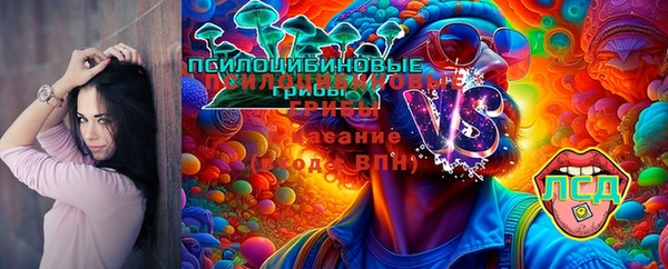 гашик Нефтегорск
