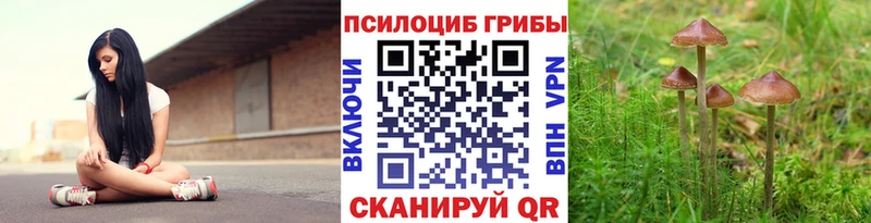 Псилоцибиновые грибы GOLDEN TEACHER Курганинск