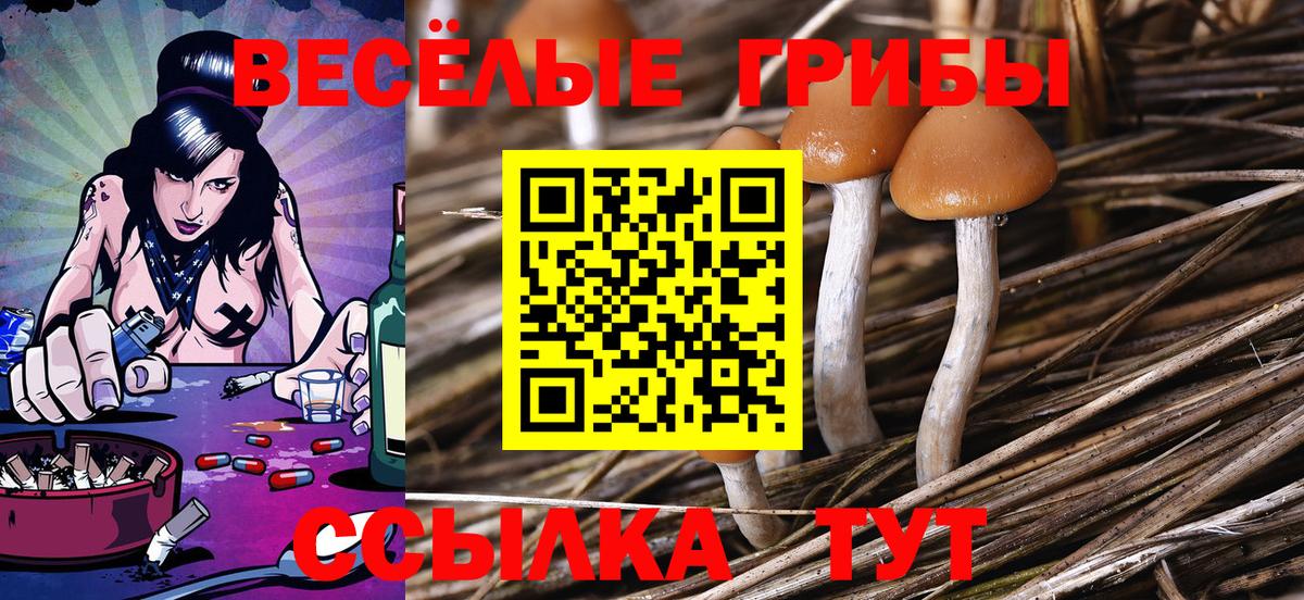 Галлюциногенные грибы Psilocybine cubensis  Вход с VPN  Курганинск 